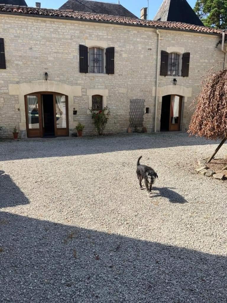 Aujac  Les Cygnes Noirs B&B 외부 사진